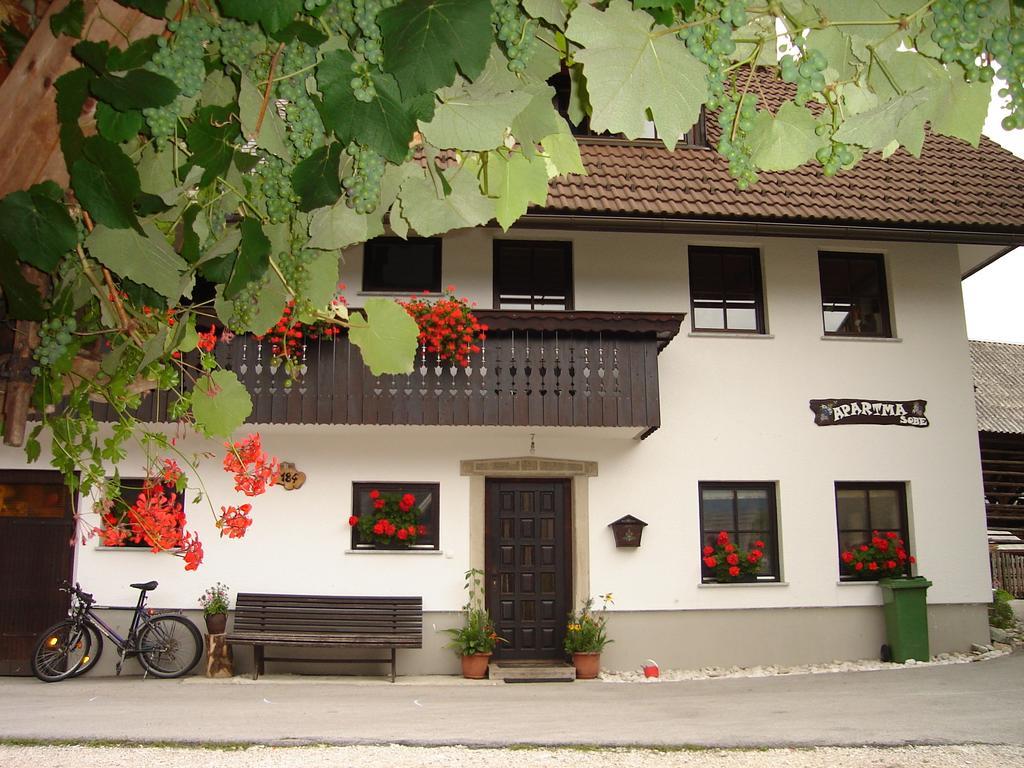 Apartment Cesar Бохинь Экстерьер фото